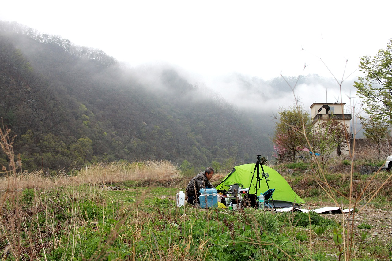 Tips to help you survive in the wild